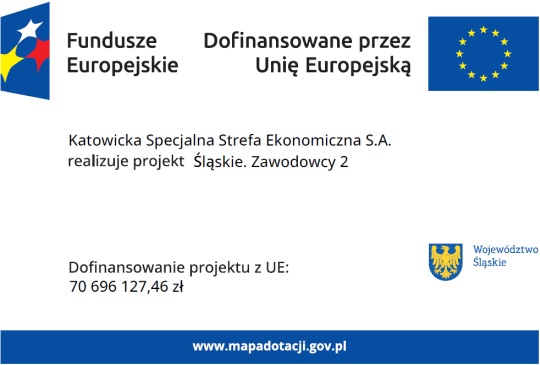 zawodowcy