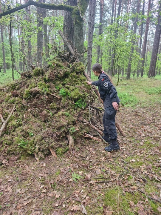 POLIGON MAJ 2025