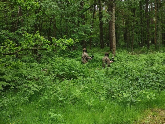 POLIGON MAJ 2025