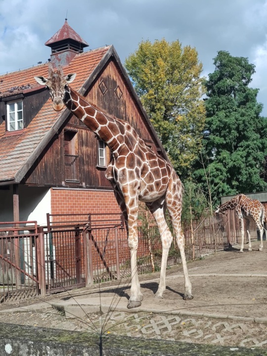 Podróe z klas